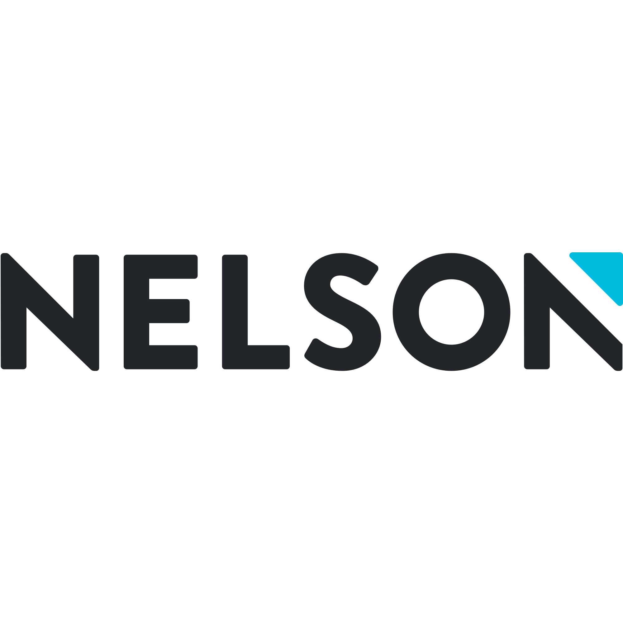 Nelson Logo